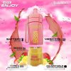 Aladdin-Pro-More-Enjoy-CARTRIDGE-9000-Puffs-Strawberry-Mango-SG-Vape-DELIVERY