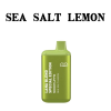 LANA-BLEND-5000-PUFF-SEA-SALT-LEMON-SG-VAPE-DELIVERY