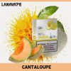 LANA-POD-CANTALOUPE-SG-VAPE-DELIVERY