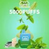 LANABAR-5000PUFF-PEPPERMINT-SG-VAPE-DELIVERY