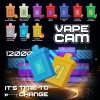 VAPECAM-CARTRIDGE-12000-PUFF-FLAVORS-SG-VAPE-DELIVERY