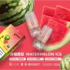 r-one-watermelon-ice-SG-VAPE-DELIVERY