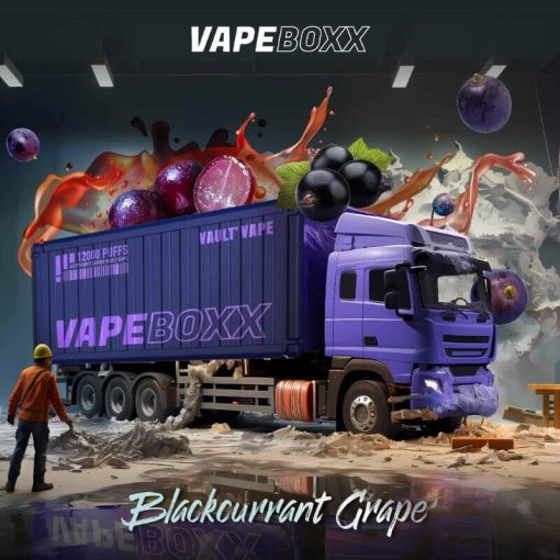 VAPEBOXX-12000-BLACKCURRANT-GRAPE-SG-Vape-delivery-shop