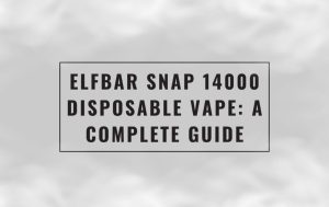 blog-elfbar-snap-14k